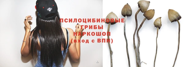 трава Заволжск