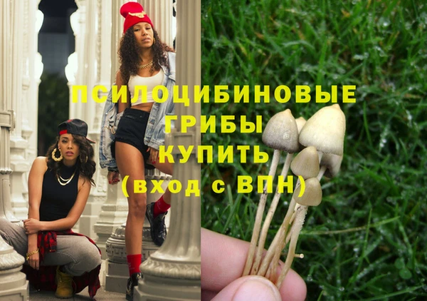 трава Заволжск