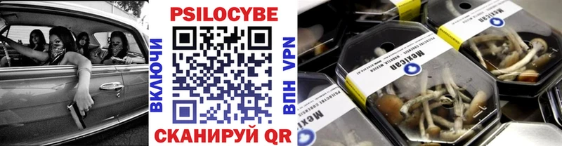 Купить  Киренск  Галлюциногенные грибы Psilocybine cubensis 